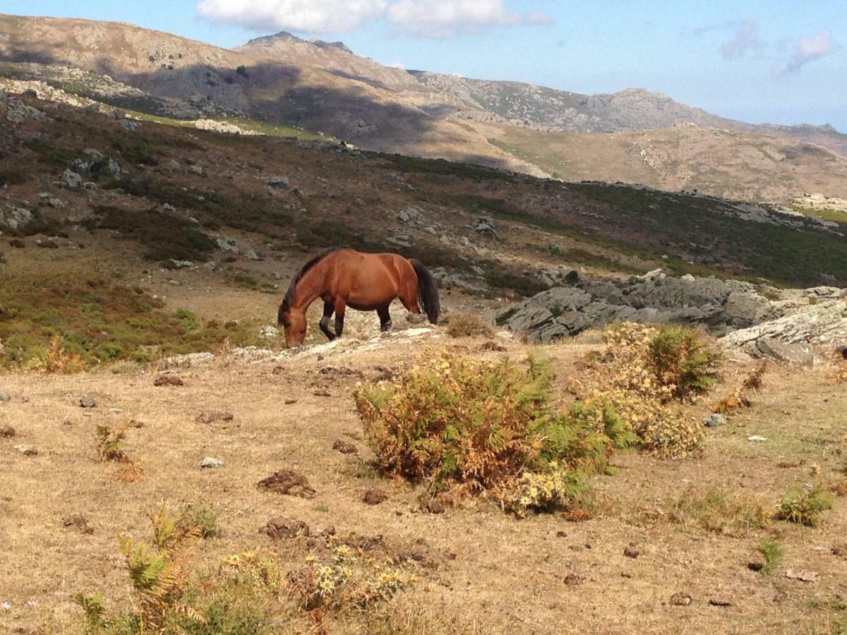 Nuits Magiques Au Village Entre Mer Et Montagnes Bigorno Eksteriør bilde